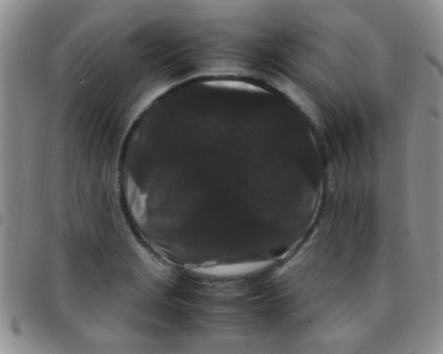 X0000097501229200803142012