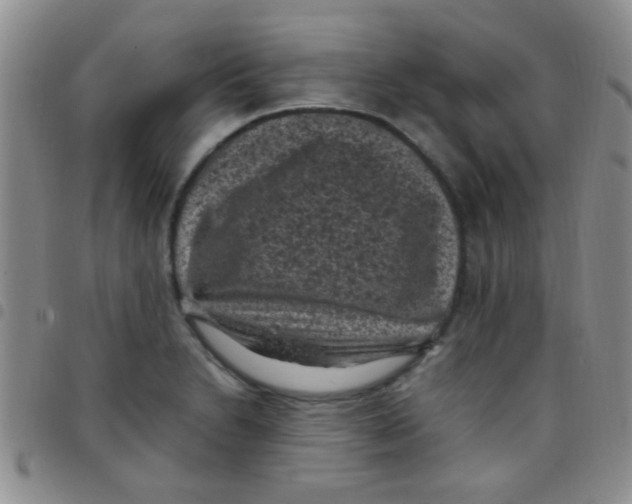 X0000097501230200803142012