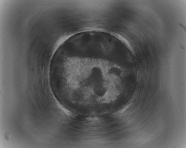 X0000097501231200803142012