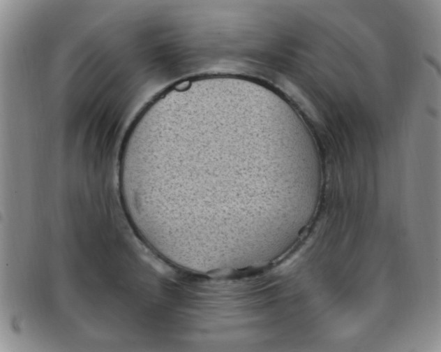 X0000097501232200803142012