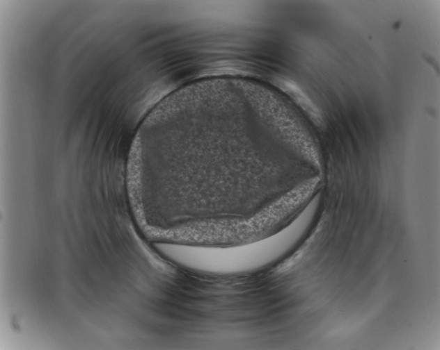 X0000097501233200803142012