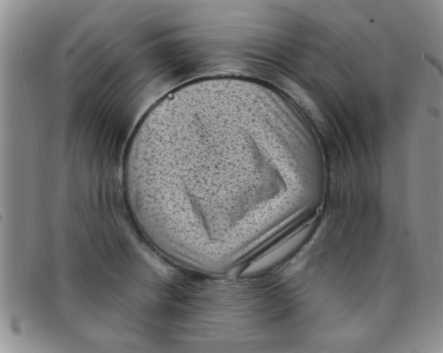 X0000097501234200803142012