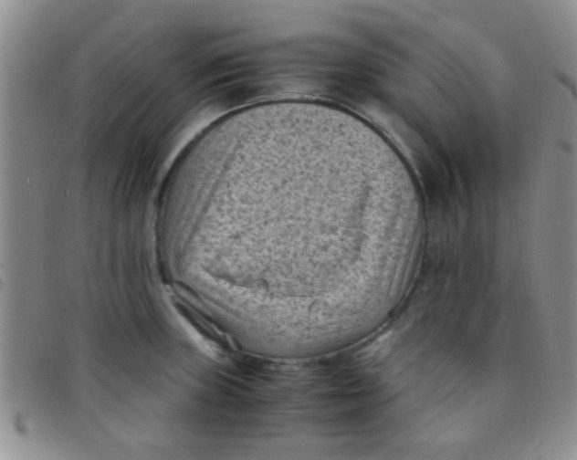 X0000097501235200803142012