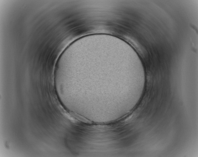 X0000097501236200803142012