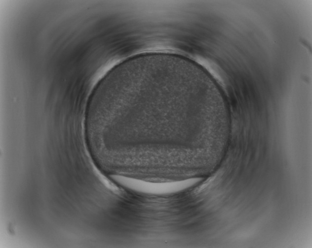 X0000097501237200803142012