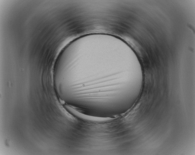 X0000097501238200803142012