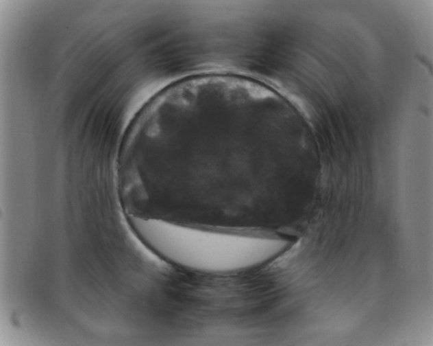 X0000097501239200803142012