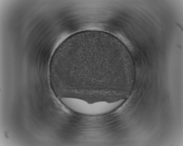 X0000097501240200803142012