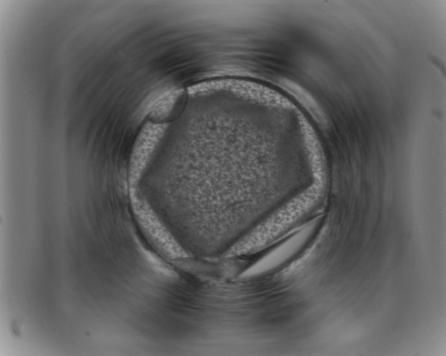 X0000097501241200803142012