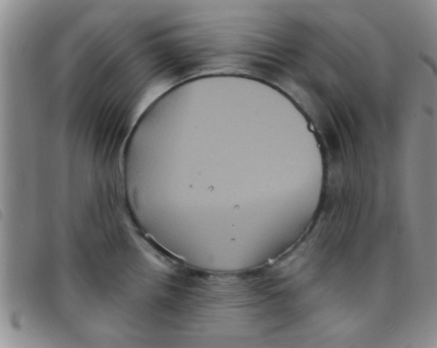 X0000097501242200803142012