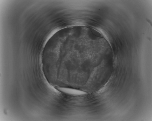 X0000097501243200803142012