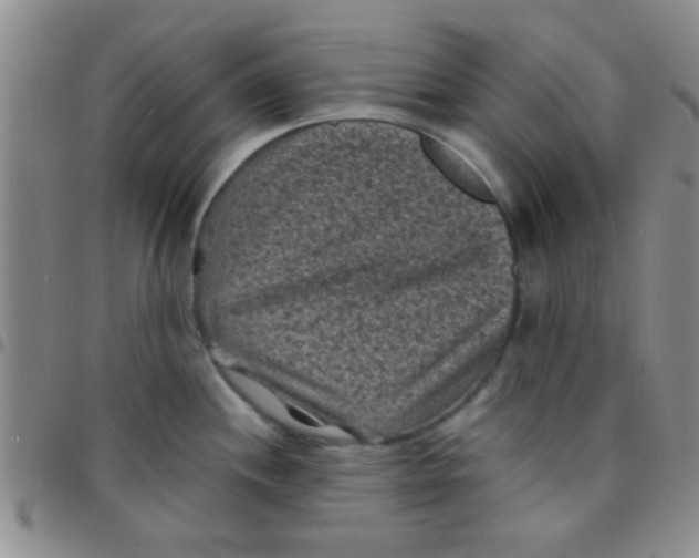 X0000097501244200803142012