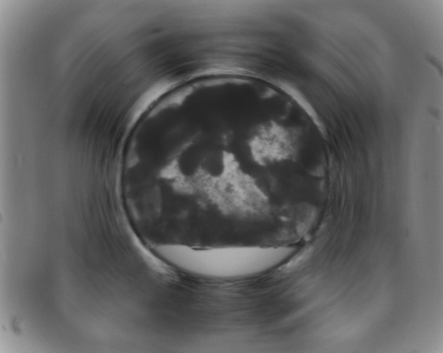 X0000097501245200803142012