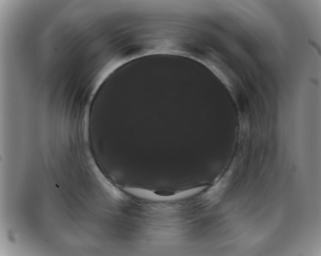 X0000097501246200803142012