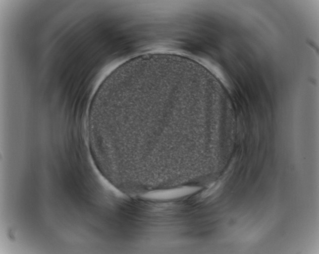 X0000097501247200803142012