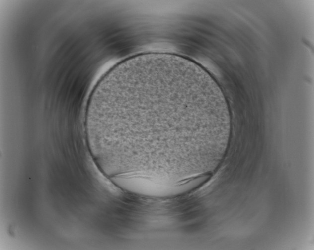 X0000097501248200803142012