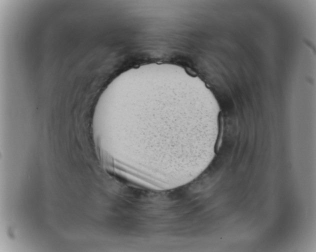 X0000097501249200803142012