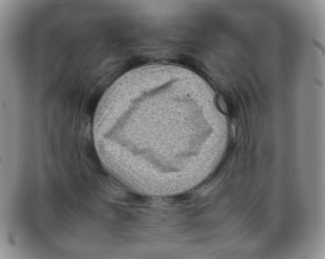 X0000097501251200803142012