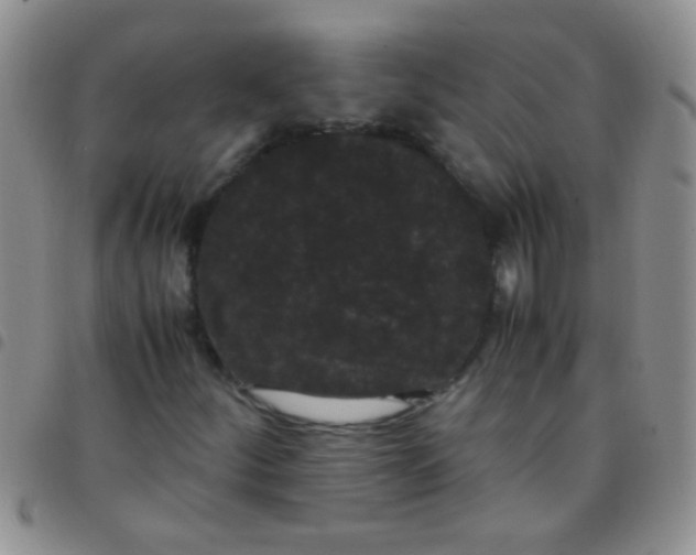 X0000097501252200803142012