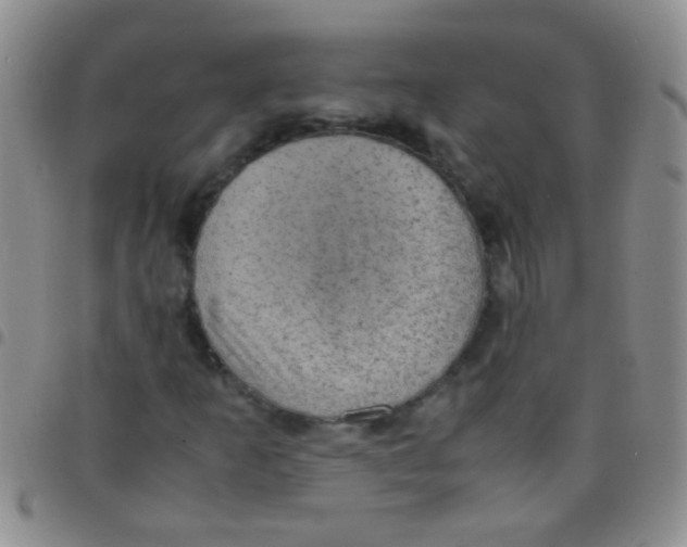 X0000097501253200803142012