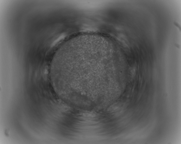 X0000097501254200803142012