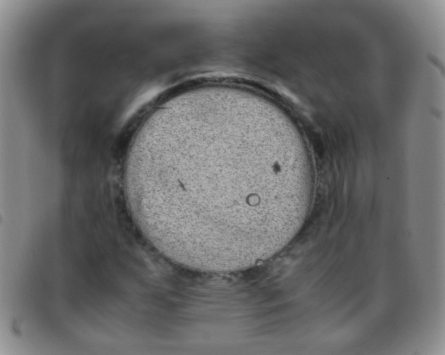 X0000097501255200803142012