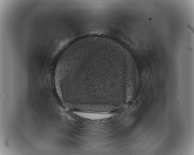 X0000097501256200803142012