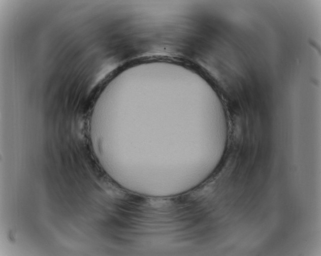 X0000097501258200803142012