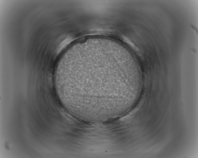 X0000097501259200803142012