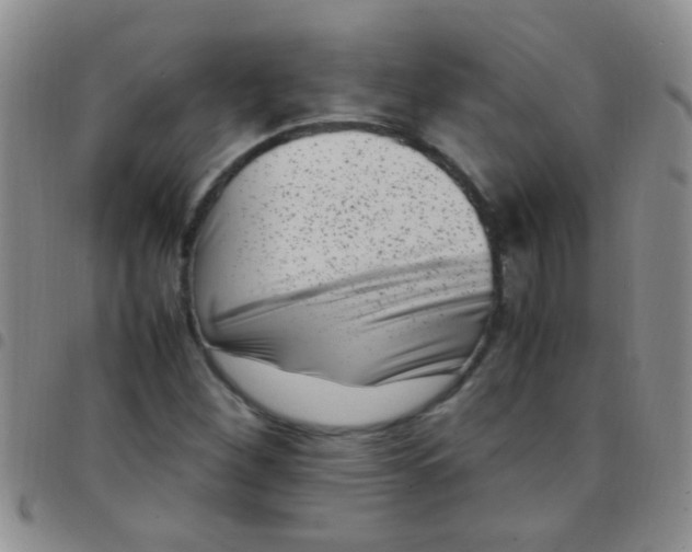 X0000097501260200803142012