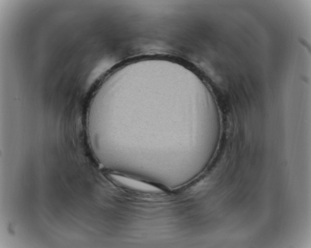 X0000097501261200803142012