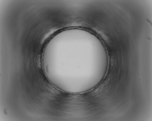 X0000097501262200803142012