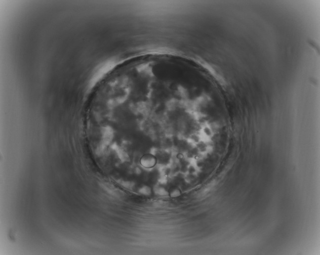 X0000097501263200803142012