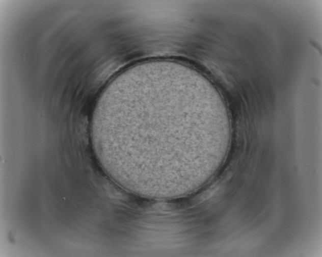 X0000097501265200803142012