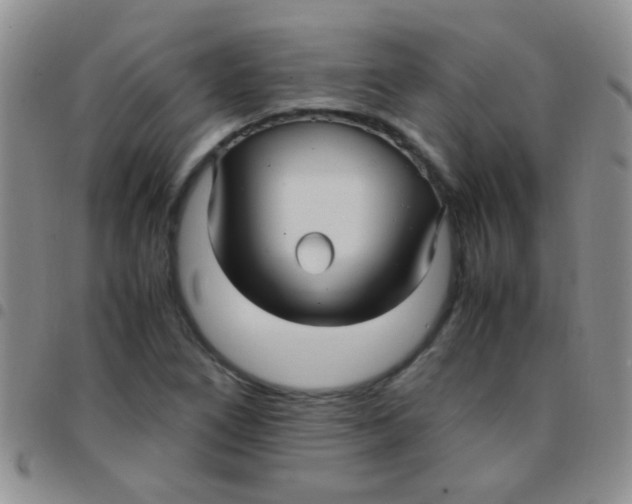 X0000097501266200803142012