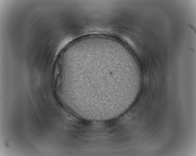 X0000097501267200803142012