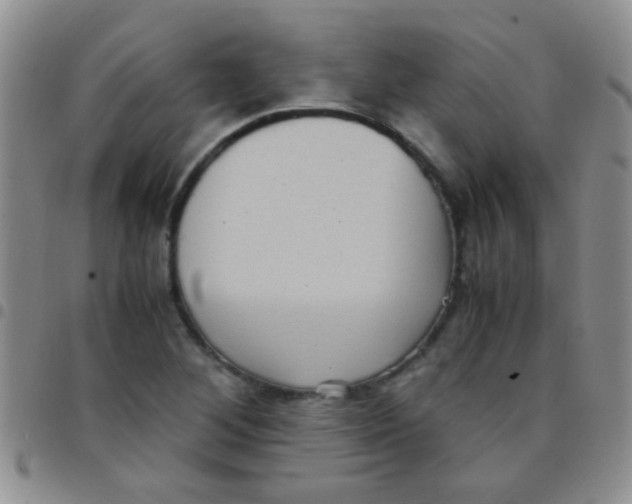 X0000097501268200803142012