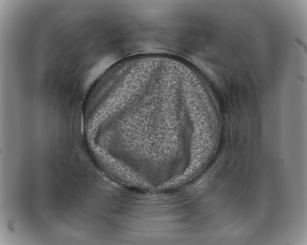 X0000097501269200803142012