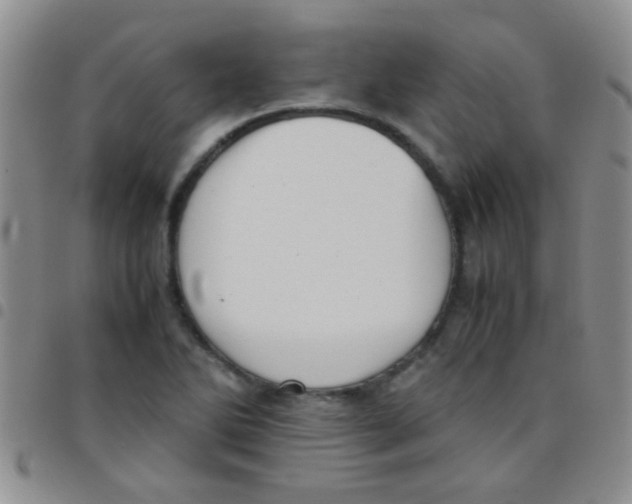 X0000097501270200803142012