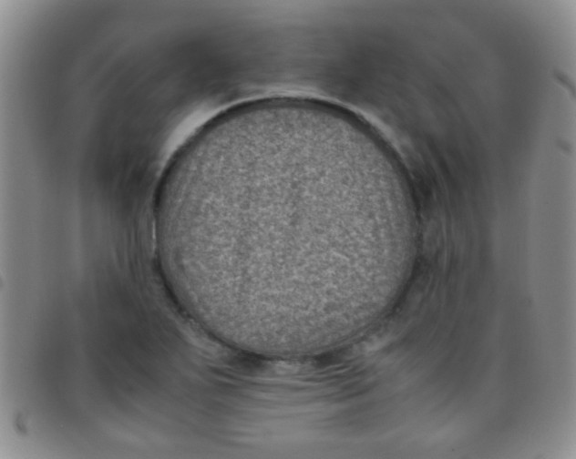 X0000097501271200803142011