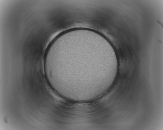 X0000097501272200803142011