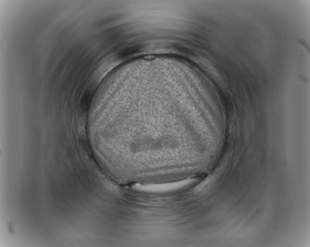 X0000097501273200803142011