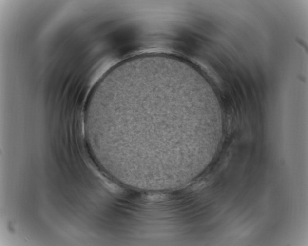 X0000097501274200803142011