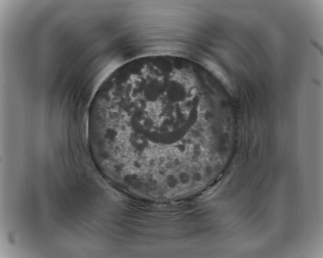 X0000097501275200803142011