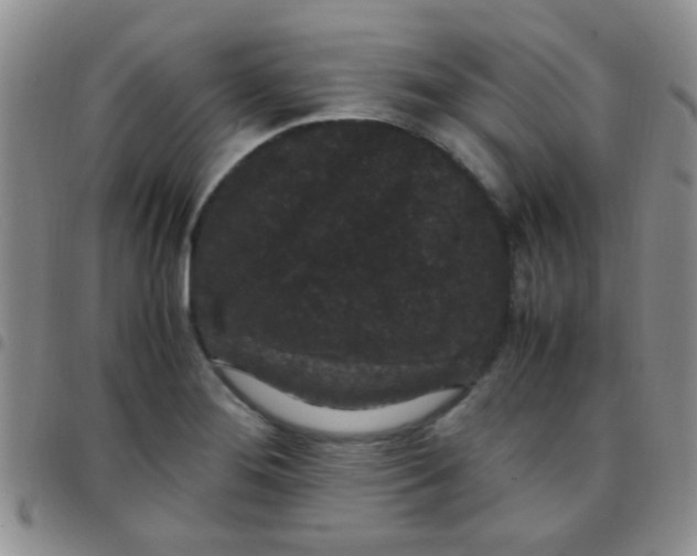 X0000097501276200803142011