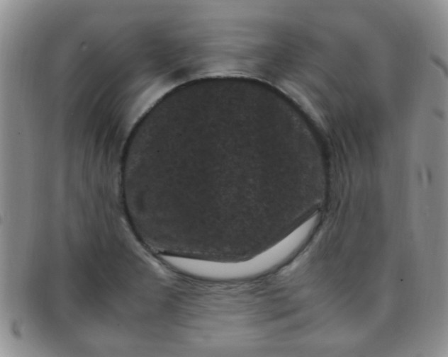 X0000097501277200803142011