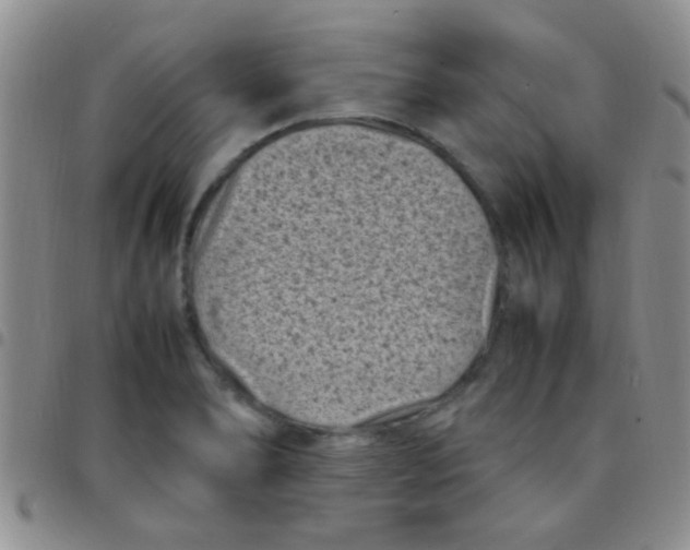 X0000097501278200803142011