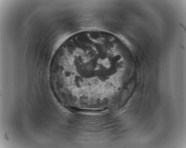 X0000097501279200803142011