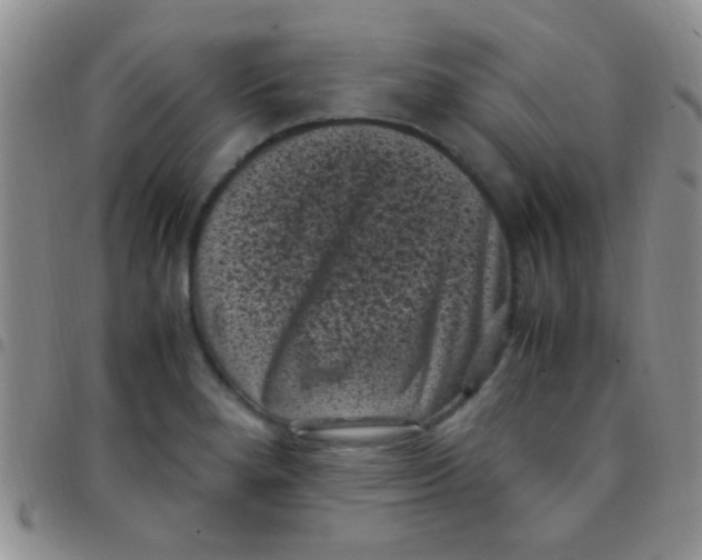 X0000097501280200803142011