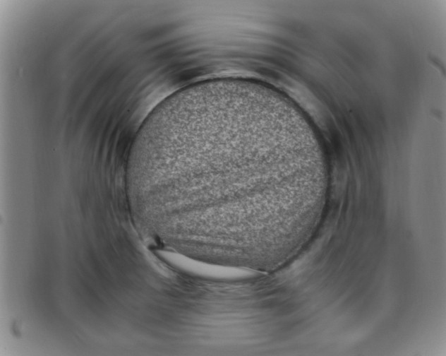 X0000097501281200803142011